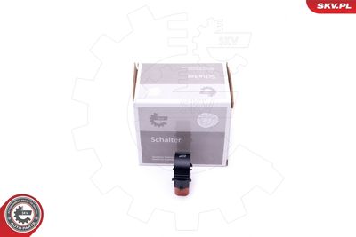 Switch, window regulator ESEN SKV 37SKV363