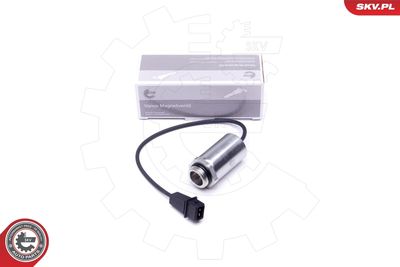 Control Valve, camshaft adjustment ESEN SKV 39SKV048