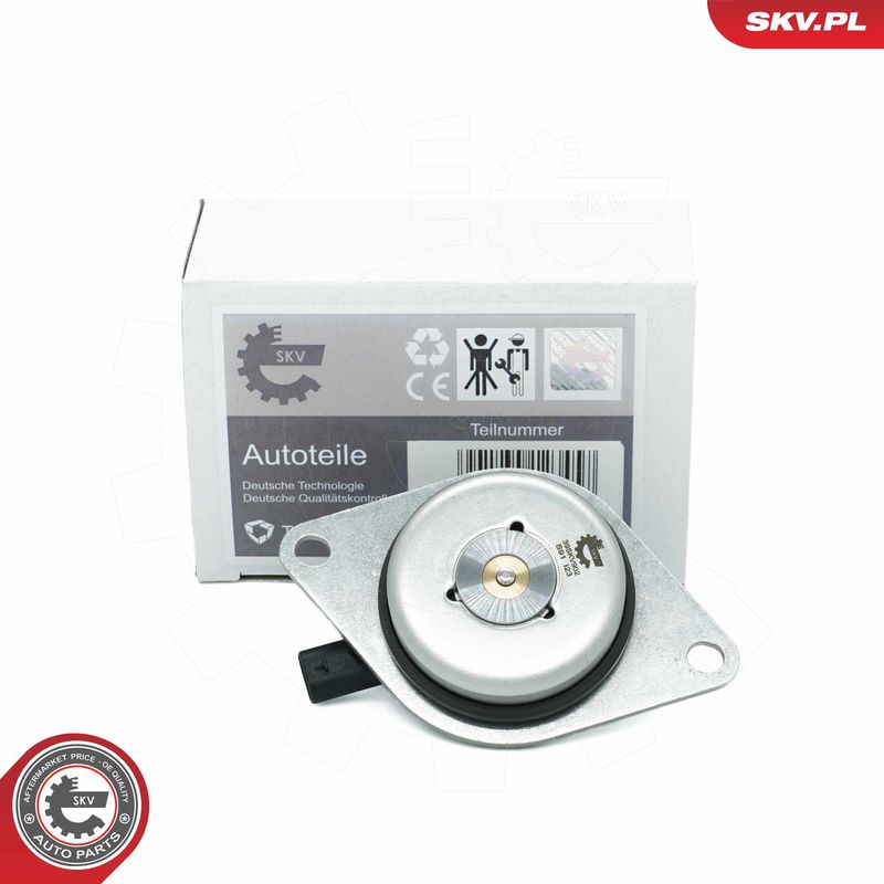 ESEN SKV 39SKV902 Central Magnet, camshaft adjustment