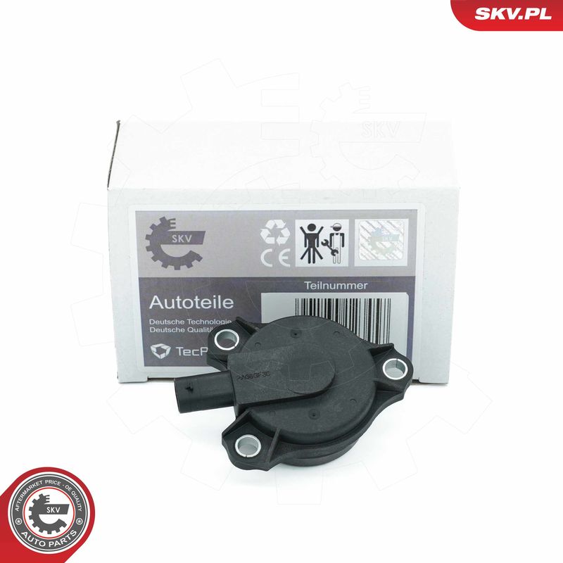 ESEN SKV 39SKV903 Central Magnet, camshaft adjustment