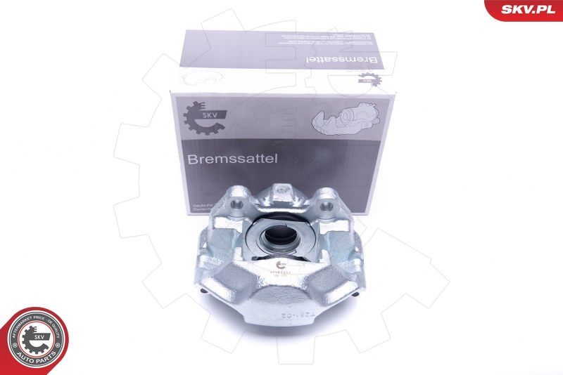 ESEN SKV 45SKV252 Brake Caliper