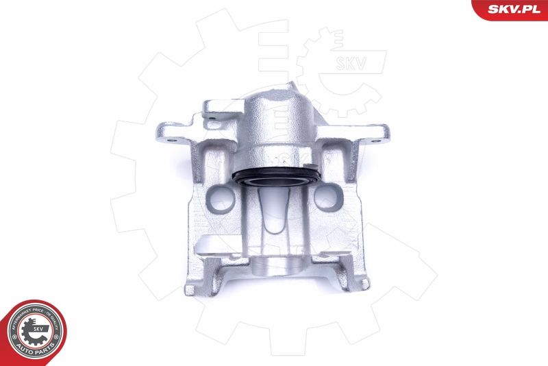 ESEN SKV 45SKV321 Brake Caliper
