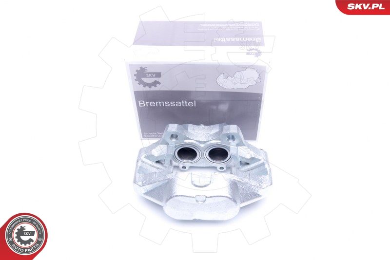 ESEN SKV 45SKV502 Brake Caliper