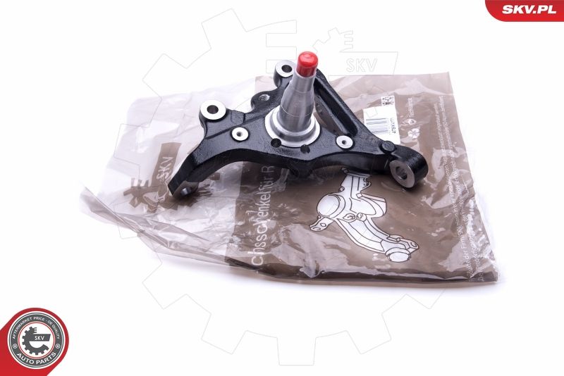 ESEN SKV 47SKV171 Steering Knuckle, wheel suspension