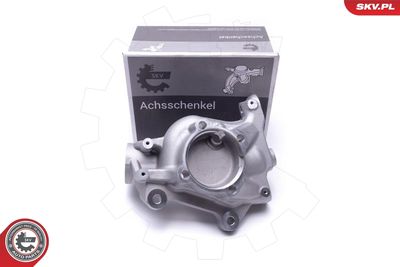 Steering Knuckle, wheel suspension ESEN SKV 47SKV842