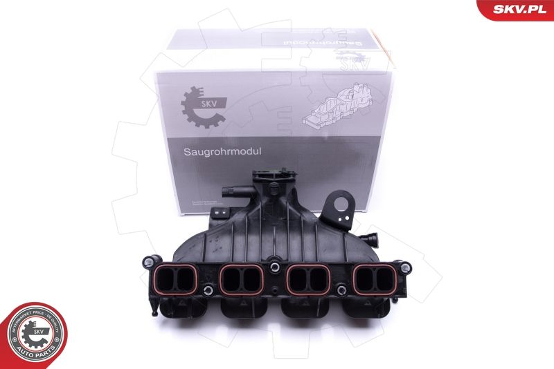 ESEN SKV 49SKV001 Intake Manifold Module