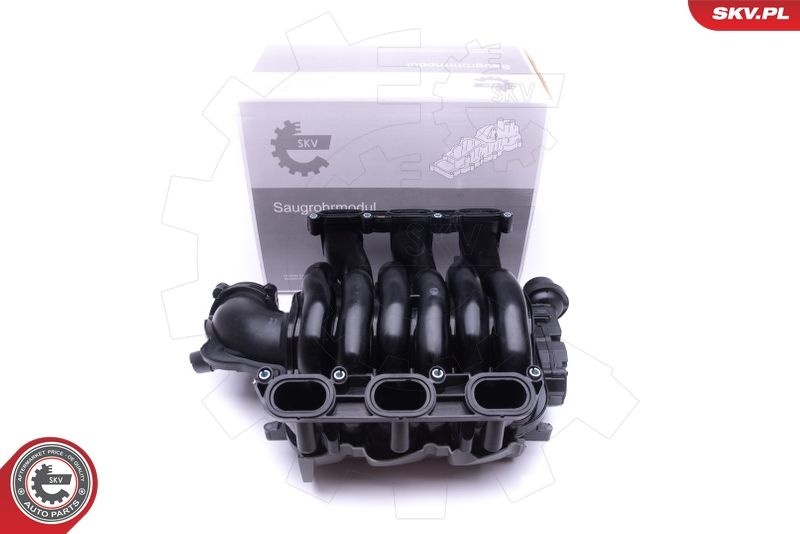 ESEN SKV 49SKV002 Intake Manifold Module