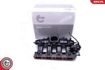 Intake Manifold Module ESEN SKV 49SKV003