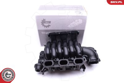 Intake Manifold Module ESEN SKV 49SKV004