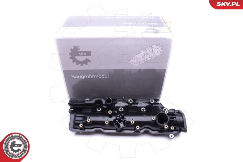 ESEN SKV 49SKV005 Intake Manifold Module