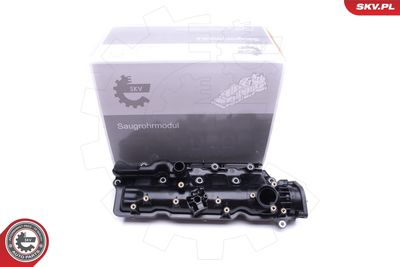 Intake Manifold Module ESEN SKV 49SKV005