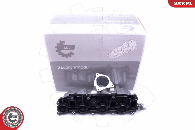 ESEN SKV 49SKV006 Intake Manifold Module