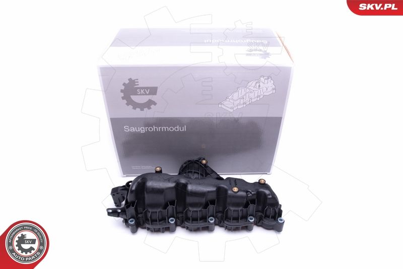 ESEN SKV 49SKV007 Intake Manifold Module
