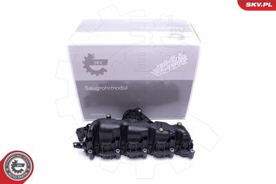 Intake Manifold Module ESEN SKV 49SKV007
