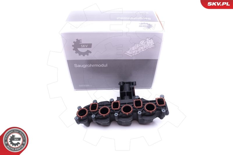 ESEN SKV 49SKV008 Intake Manifold Module