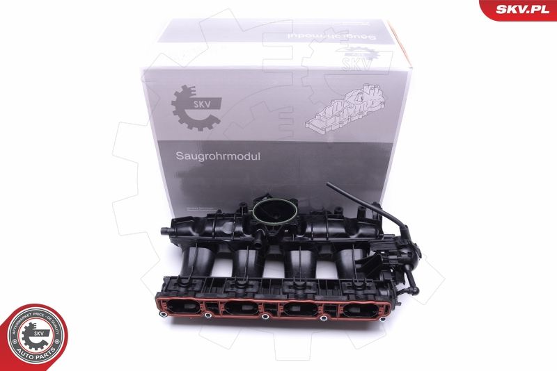 ESEN SKV 49SKV010 Intake Manifold Module