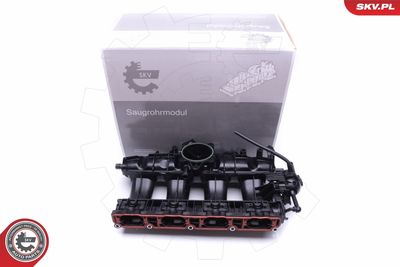 Intake Manifold Module ESEN SKV 49SKV010