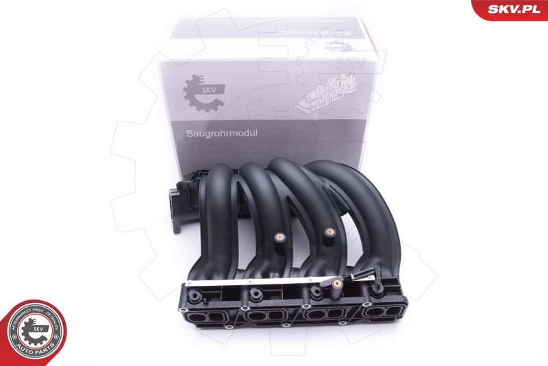 ESEN SKV 49SKV011 Intake Manifold Module