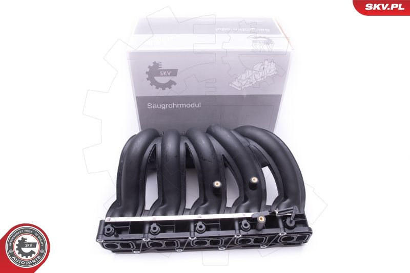 ESEN SKV 49SKV012 Intake Manifold Module