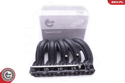 Intake Manifold Module ESEN SKV 49SKV012