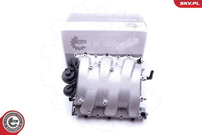 Intake Manifold Module ESEN SKV 49SKV013