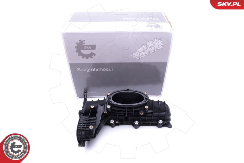 ESEN SKV 49SKV014 Intake Manifold Module
