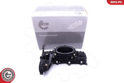 Intake Manifold Module ESEN SKV 49SKV014