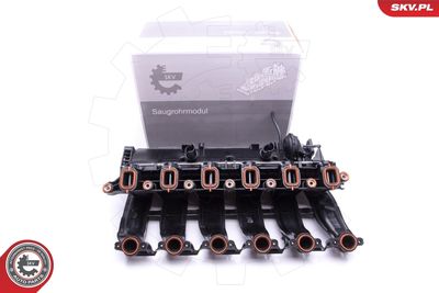Intake Manifold Module ESEN SKV 49SKV016