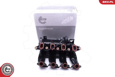 Intake Manifold Module ESEN SKV 49SKV017