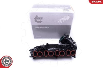 Intake Manifold Module ESEN SKV 49SKV018