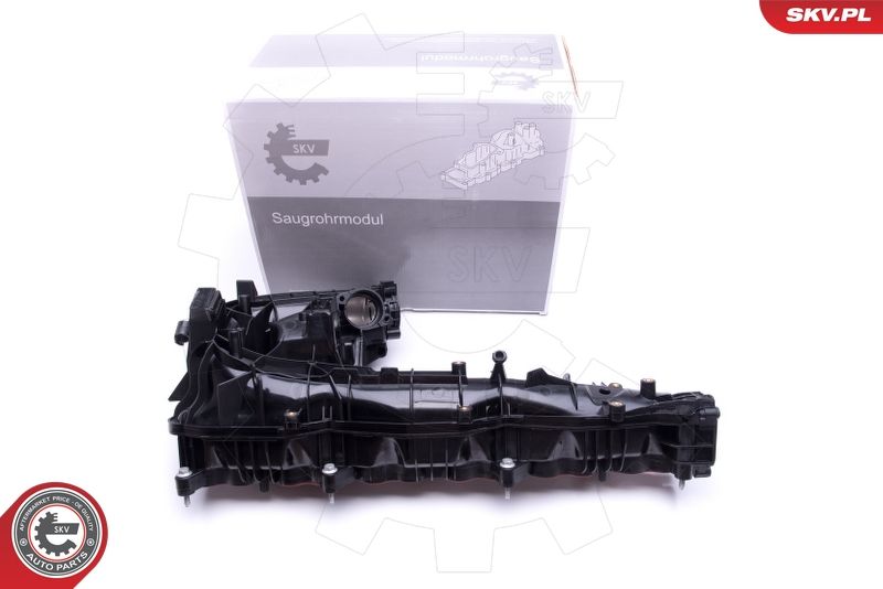 ESEN SKV 49SKV019 Intake Manifold Module