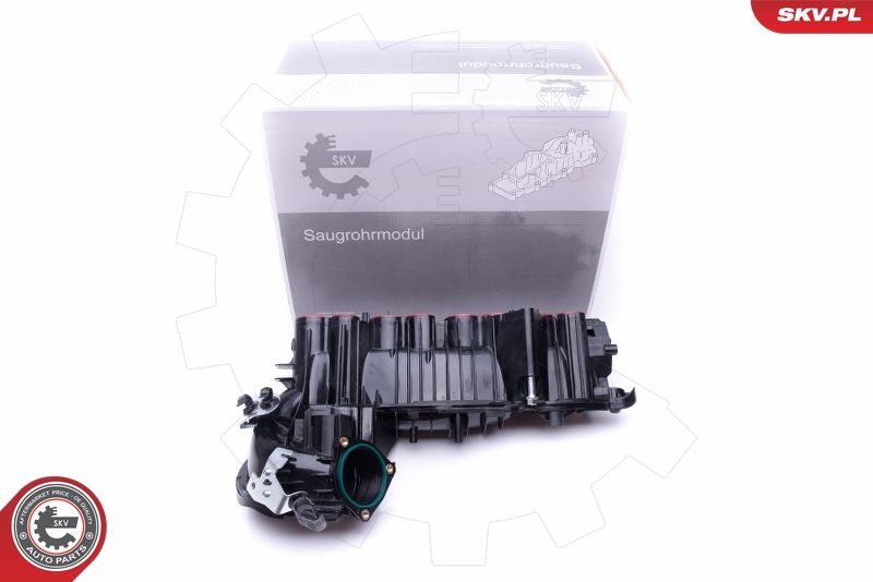 ESEN SKV 49SKV020 Intake Manifold Module
