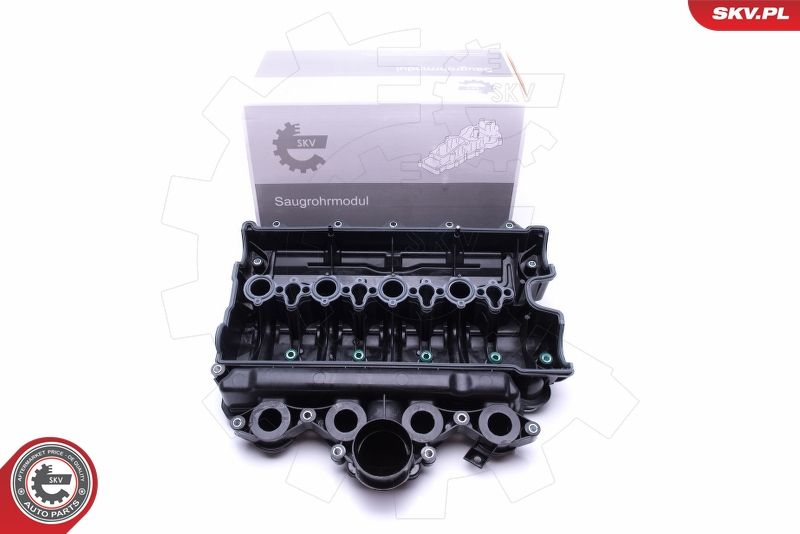 ESEN SKV 49SKV021 Intake Manifold Module