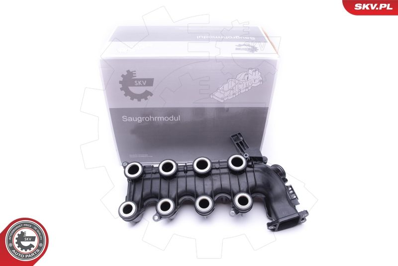 ESEN SKV 49SKV022 Intake Manifold Module