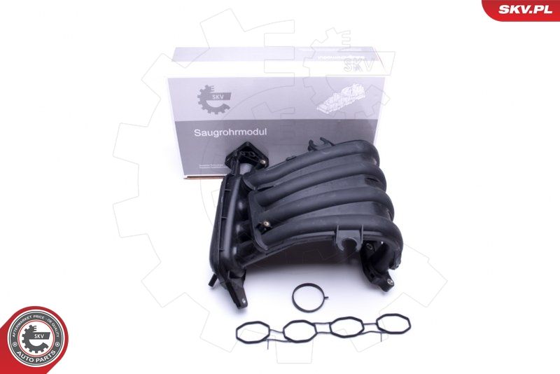 ESEN SKV 49SKV023 Intake Manifold Module