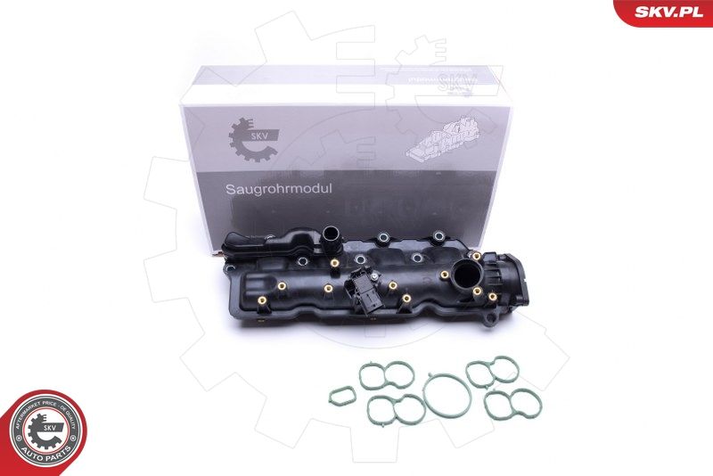 ESEN SKV 49SKV024 Intake Manifold Module