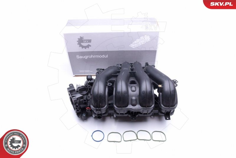 ESEN SKV 49SKV027 Intake Manifold Module