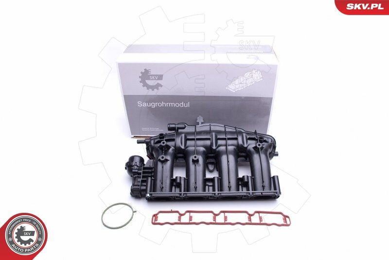 ESEN SKV 49SKV028 Intake Manifold Module