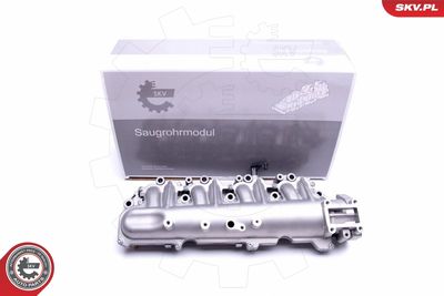 Intake Manifold Module ESEN SKV 49SKV029