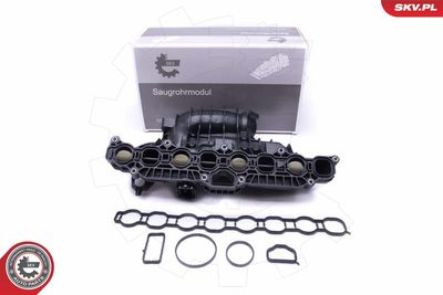 Intake Manifold Module ESEN SKV 49SKV030
