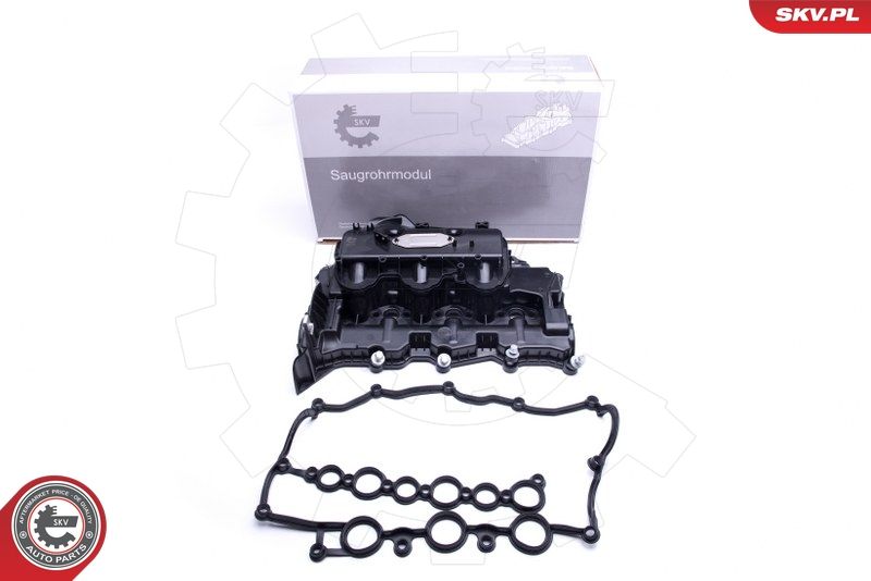 ESEN SKV 49SKV031 Intake Manifold Module