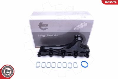 Intake Manifold Module ESEN SKV 49SKV032