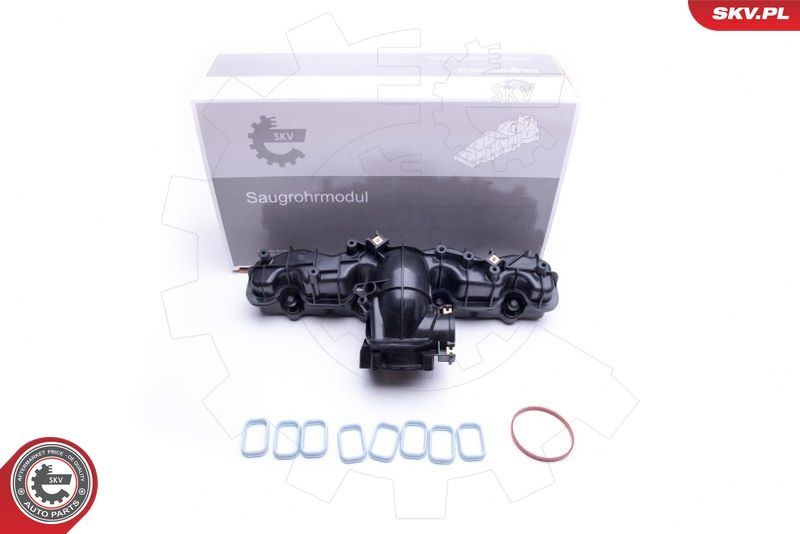 ESEN SKV 49SKV033 Intake Manifold Module