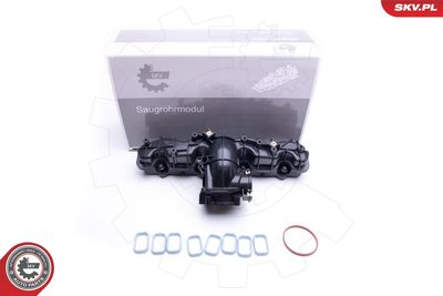 Intake Manifold Module ESEN SKV 49SKV033