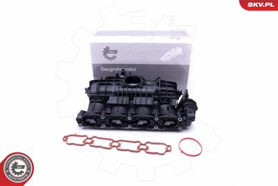Intake Manifold Module ESEN SKV 49SKV035