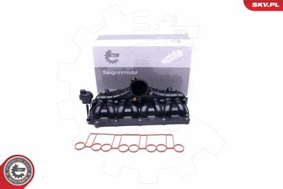 Intake Manifold Module ESEN SKV 49SKV036