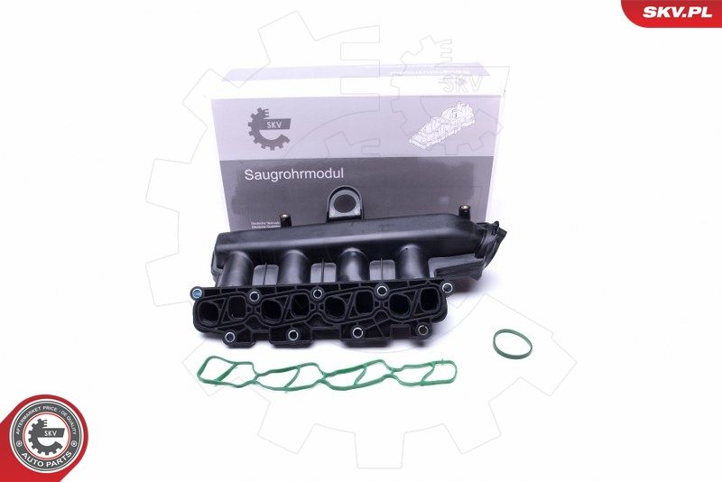 ESEN SKV 49SKV038 Intake Manifold Module