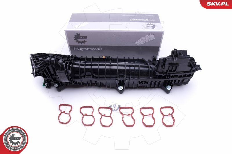 ESEN SKV 49SKV039 Intake Manifold Module