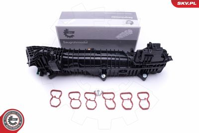 Intake Manifold Module ESEN SKV 49SKV039