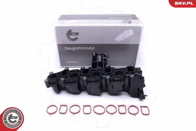 Intake Manifold Module ESEN SKV 49SKV040